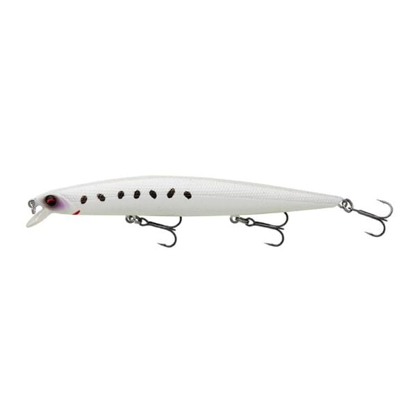 Snow Sardine