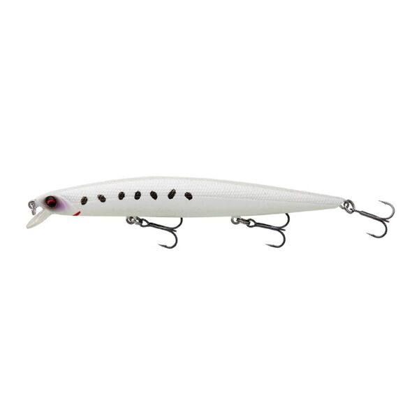 Snow Sardine