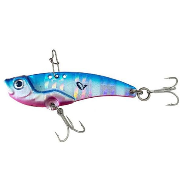 Blue Pink Zebra