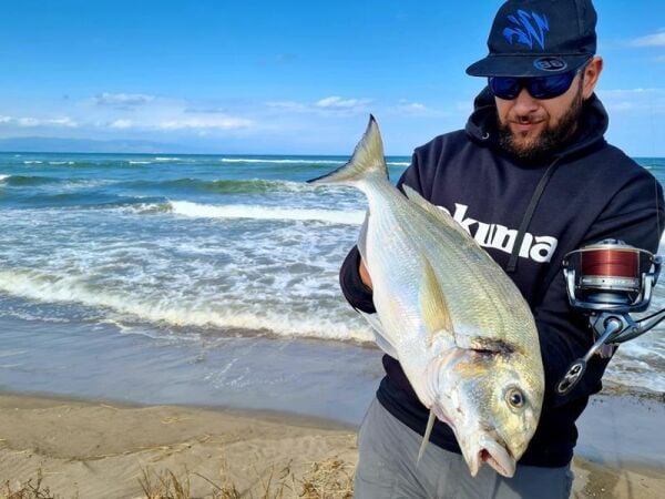 Okuma Flite Surf FLS35-1500AY Gunsmoke 9+1 BB Olta Makinesi