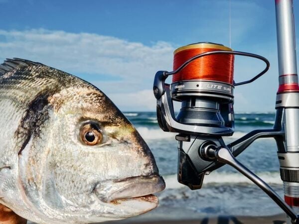 Okuma Flite Surf FLS35-1500AY Gunsmoke 9+1 BB Olta Makinesi