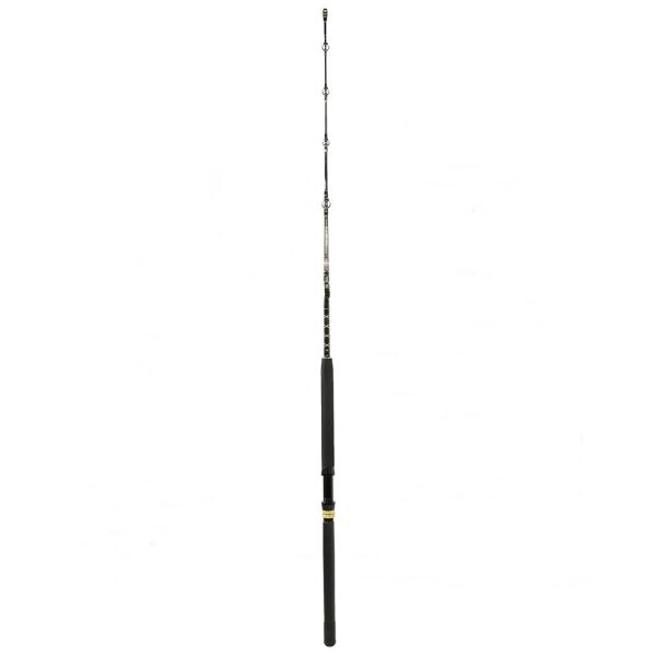 Penn Squall II Trolling Casting Düz Sap Olta Kamışı