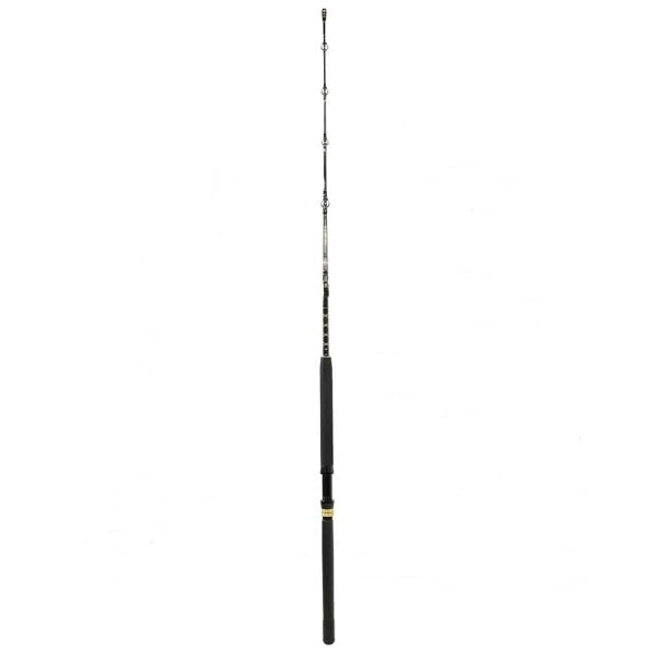 Penn Squall II Trolling Casting Düz Sap Olta Kamışı Standart - 168CM - 60-130LBS