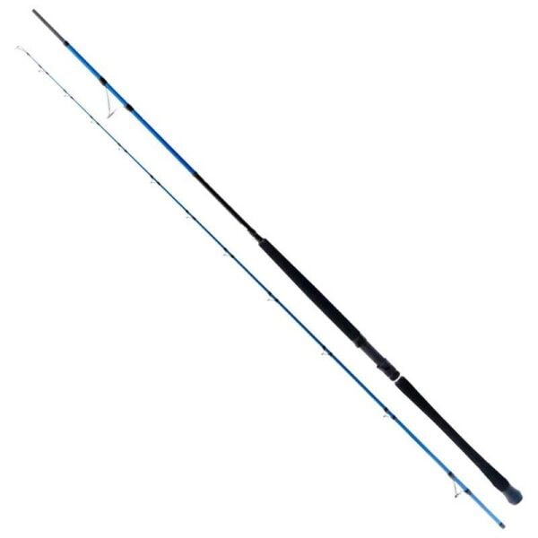 Ryuji Shore Game Fuji 285cm 25-85gr 2 Parça Shore Jig Kamış