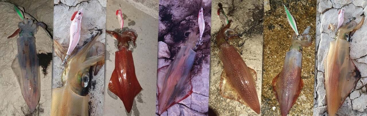 DTD Red Killer Egi 3.0 Deep Red Glow Sinking Speed 96 mm 16 gr Kalamar Zokası ORANGE