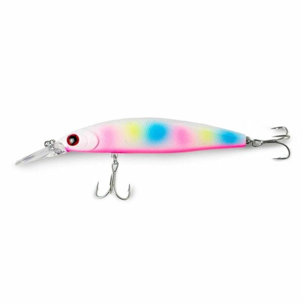 ZB Rainbow