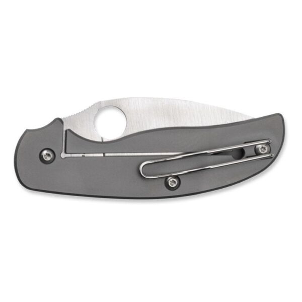 Spyderco C123TIP Sage Titanium Çakı