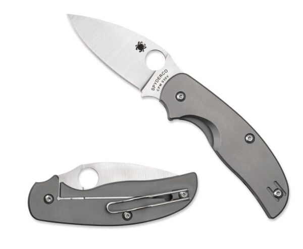 Spyderco C123TIP Sage Titanium Çakı