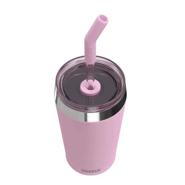 Sigg 6015 Helia 0,45 LT Çelik Termos Lingonberry