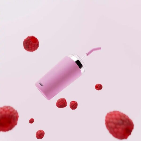 Sigg 6015 Helia 0,45 LT Çelik Termos Lingonberry