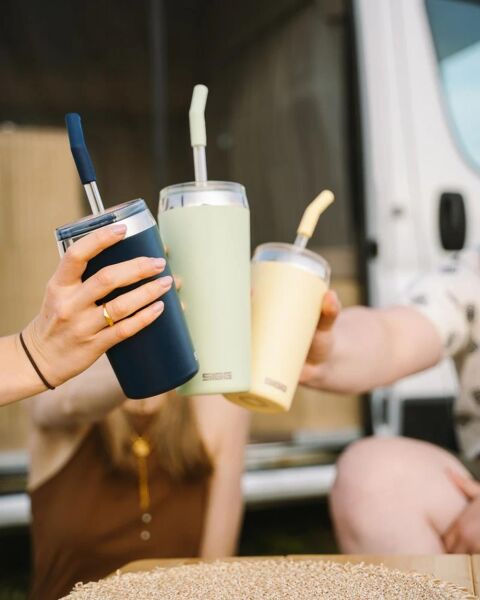 Sigg 6015 Helia 0,60 LT Çelik Termos