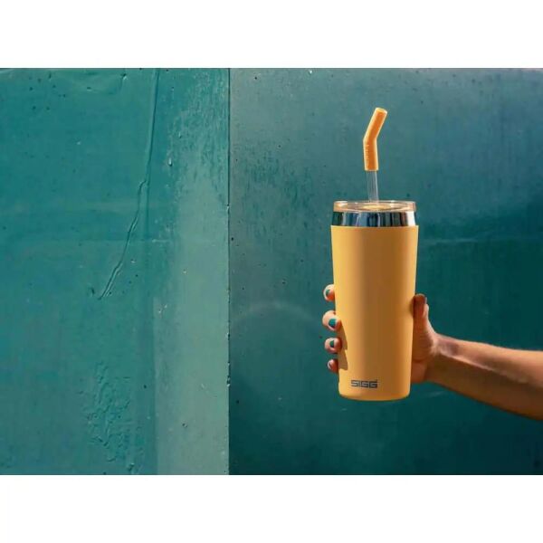 Sigg 6015 Helia 0,60 LT Çelik Termos Muted Peach