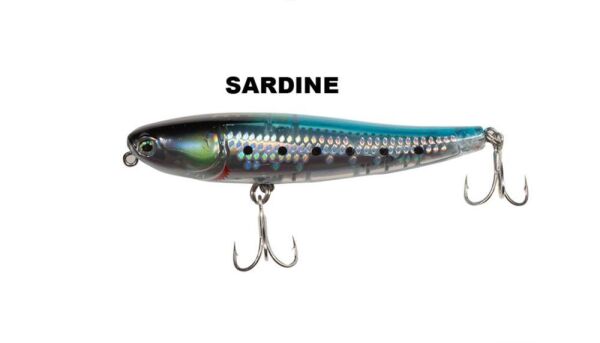 SARDİNE