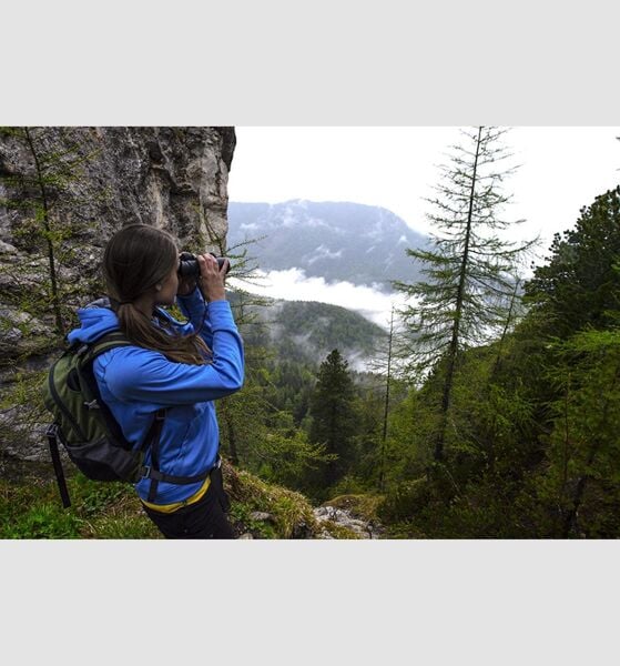 Steiner Wildlife XP 8x44 El Dürbünü