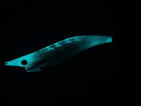 Daiwa Emeraldas Shine LC 2.5 Laser Impact 12gr Kalamar Zokası Blue Glow Laser